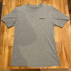 patagonia Tシャツ レギュラーフィット　サイズXS Mサイズ相当
