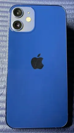 ジャンク iPhone 12 mini 画面不良 SIMフリー