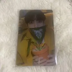 bts ptd タレントカード