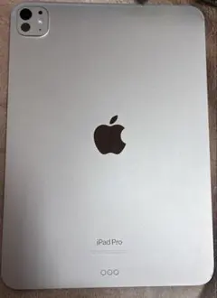 Apple iPad Pro 11インチ M4 256GB シルバー