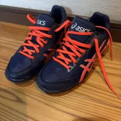 Item thumbnail for item 0c88f02b-1d58-4c4f-8728-dec85ccf2a48