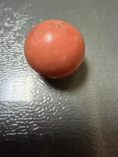 2026年最新】緒締の人気アイテム - メルカリ