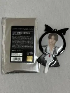 ヒスン 缶バッジ fate+