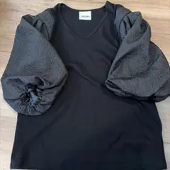 ヒロミシスル　カットソー