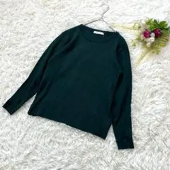 〝ショコラフィネローブ〟リブニット クルーネック（F）緑　無地