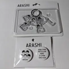 嵐を旅する展覧会グッズ 2種 缶バッジ キーチェーン(イラストB)