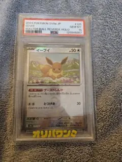 2026年最新】テラスタルフェス イーブイ psa10の人気アイテム - メルカリ