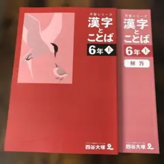 pachiko様 リクエスト 2点 まとめ商品