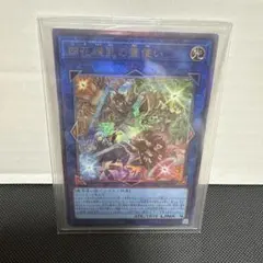 遊戯王 四花繚乱の霊使い アジア版 レリーフ アルティメットレア