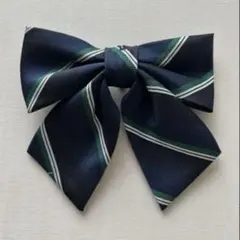 Item thumbnail for item cabda009-ba13-439c-8598-d351ad9272b7