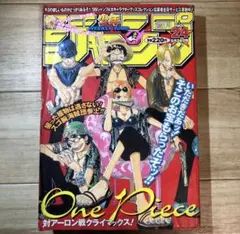 T*M様 週刊少年ジャンプ 1999年 24号 11巻デザイン ワンピース 表紙