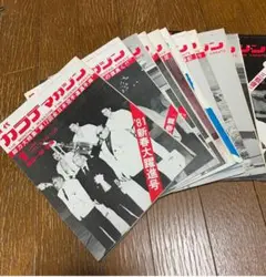 Item thumbnail for item bdb9383a-59e9-444c-8645-59b99dff5fe4