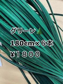 Item thumbnail for item 1e57e349-3515-491f-9a9f-f5b49e639592