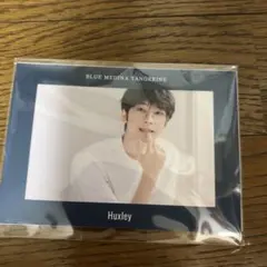 値下Huxley ハクスリー 購入特典 フォトカード SEVENTEEN ウォヌ
