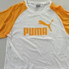 Item thumbnail for item db628921-1ddd-4360-9f65-d824d40e01ee