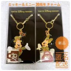 ディズニー☆ミッキー☆ミニー☆30周年☆バッグチャーム