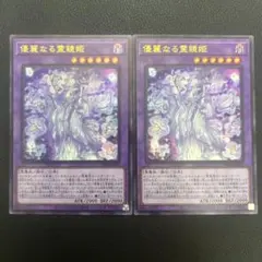 遊戯王　優麗なる霊鏡姫　ネクロイッププリンセス　ウルトラ2枚