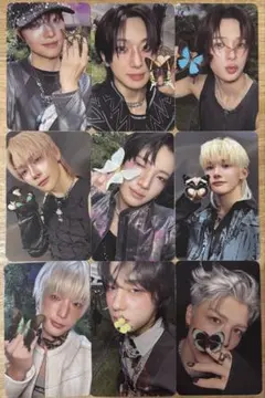 &TEAM Back to Life ROAR トレカ コンプ