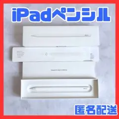 【純正】Apple Pencil (第2世代) タッチペン iPad 美品