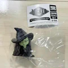 肩ズンFig. Wicked ウィキッド 永遠の約束　エルファバ