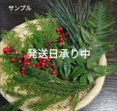 Item thumbnail for item be1dd396-dfb6-4d65-a430-e9ec780e7116