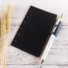 Item thumbnail for item 11b76716-0e15-4e53-be55-c9d7fd53b95e