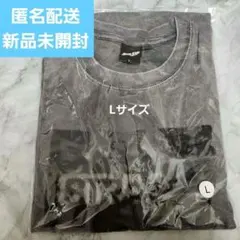 新品未開封 RUN IT JAPAN フォトTシャツ【M】黒 スキズ 匿名配送 M 黒 straykids RUN IT JAPAN スキズ フォト Tシャツ - メルカリ