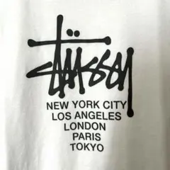 STUSSY ストゥーシー　Tシャツ　Sサイズ　ホワイトのサムネイル
