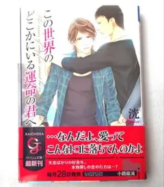 この世界のどこかにいる運命の君へ 洸 ガッシュ文庫