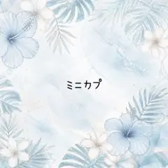 ミニカプ