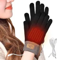 電熱グローブ　手袋　裏起毛　スマホ対応　防寒　電熱　保温　グローブ　ヒーター