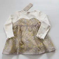 Item thumbnail for item 506462b8-03a7-4604-847f-05db371a89f6