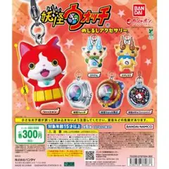 a*）様 妖怪ウォッチセミコンプリート‼️