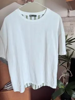 ZARA レディース 半袖Tシャツ ストライプ柄のサムネイル