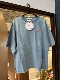 Item thumbnail for item 1484dd7b-74c0-4ec0-a05d-a0ffaff79f59