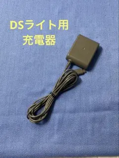 【純正品】 DSライト用充電器