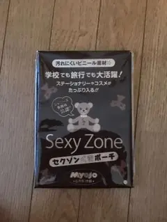 Sexy Zone ポーチ