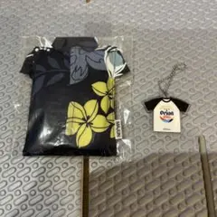 ポケットティッシュ入れ　おまけ付き