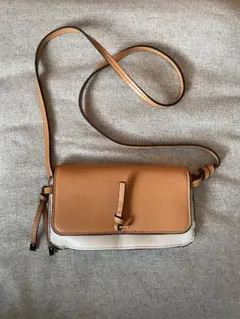 Zara shoulder pouch