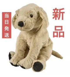 Item thumbnail for item 0bcbf16e-010a-4ebb-b126-43a5ed16a7af