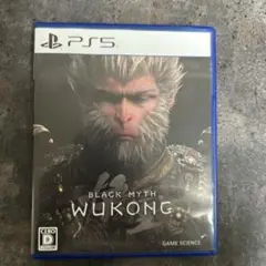 BLACK MYTH WUKONG PS5 黒神話悟空