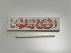 【動作品ジャンク】Apple Pencil Pro 外装割れあり