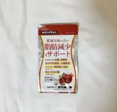 AFC 肥満気味の方の脂肪減少をサポート 30粒 1袋のサムネイル