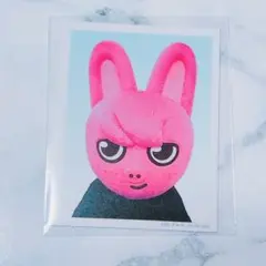 スキズ　straykids toy world idフォト　トゥエッキ