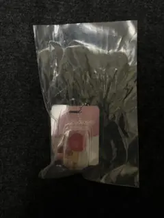 ズートピア ブリスターチャーム コレクション アイスキャンディー