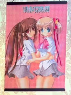 Item thumbnail for item 86f12cb5-c7f0-41c2-baa6-8aace3731108