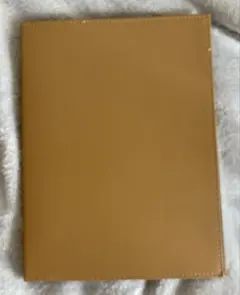 Item thumbnail for item 9dec0892-a3cd-4e7a-9bf8-0a8dbd2c2ff3