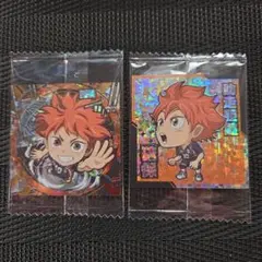 にふぉるめーしょん　ハイキュー ごみ捨て場の決戦日向翔陽 排球レア・極セット