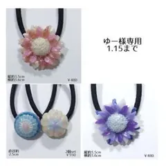 ゆー様専用 1.15まで フリーセレクト