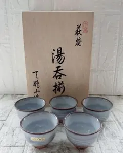 【未使用・木箱付】萩焼 窯元 天鵬山 釉彩 汲出揃 湯呑 5客セット 茶器 食器